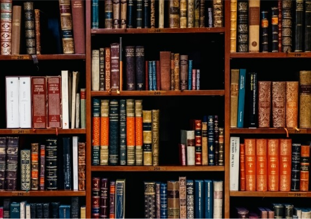 blog-image